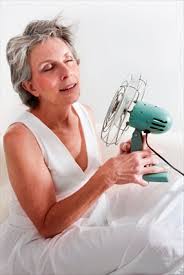 Menopause, hot flashes, hormona replacement therapy, reemplazo hormonal, hrt