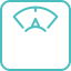 Medical weight loss program icon
